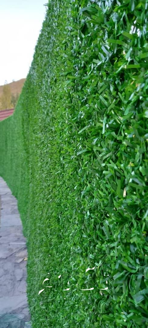 Grass fence (20) Grass fence